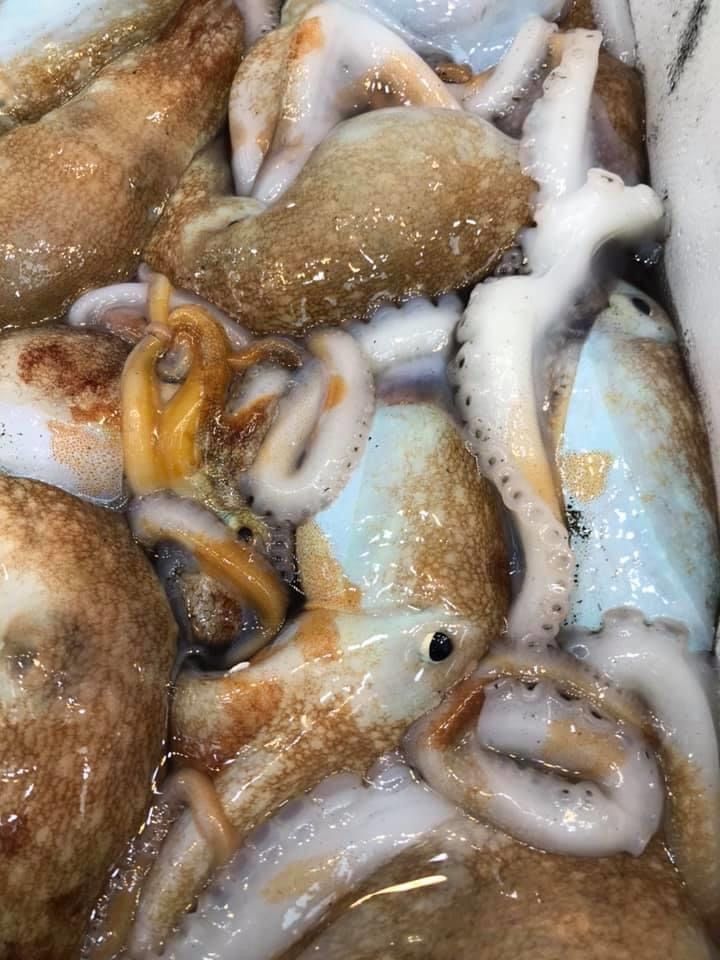 Cozze Sardegna fresche in offerta presso Pescheria IL PORTICCIOLO Ciampino
