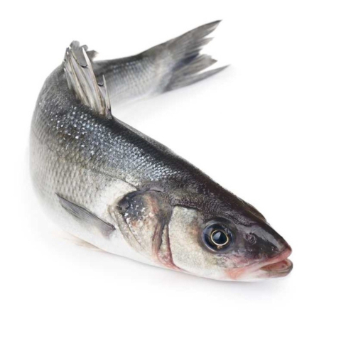 Offerta Orata Pesce Fresco Ciampino