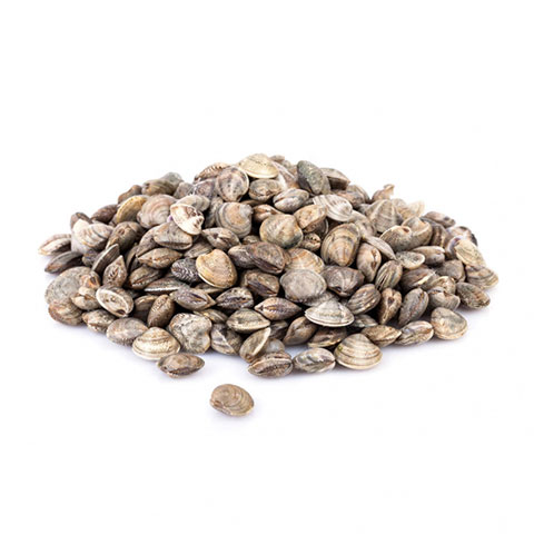 logo Pescheria IL PORTICCIOLO Ciampino dialog