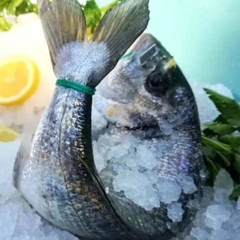 Offerta Orata Pesce Fresco Ciampino